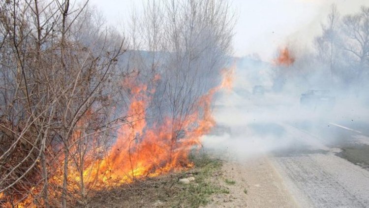 Късо съединение в далекопроводи подпали сухи треви