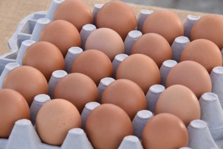 Изтеглят продукти с яйчния прах с фипронил от пазара