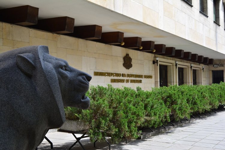 МВР прави нови „реорганизации“ за борба с битовата престъпност