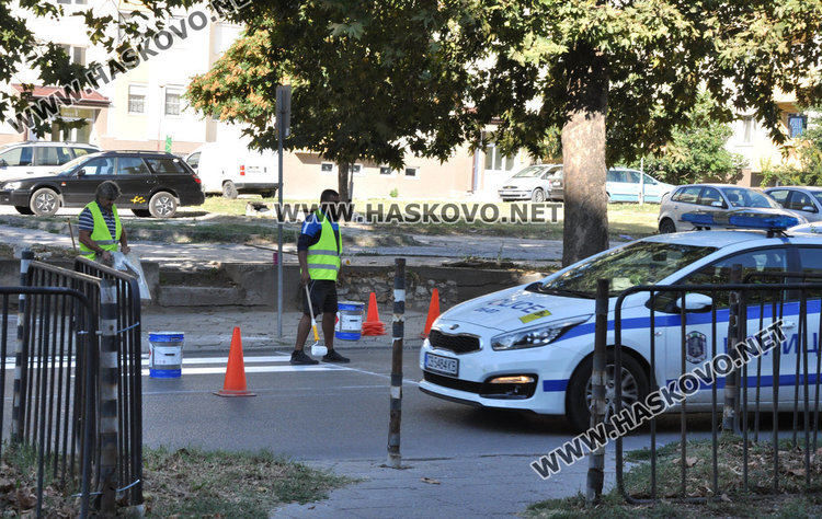 Незаконните легнали полицаи и зебри в Хасковско ясни до седмица