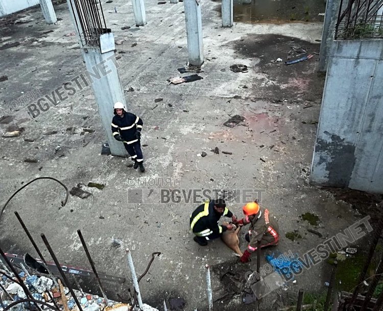 Огнеборци спасиха давеща се сърна в река Черна