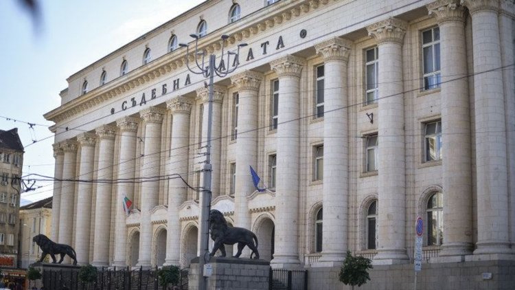 Шествие по Витошка в защита на Лозан Панов и правото