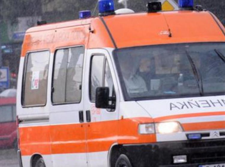 Огромна мечка нападна и рани тежко ловец в Стара планина