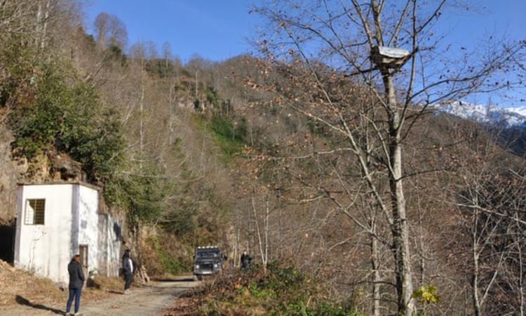 Турски пчелари рискуват живота и крайниците си за производството на "луд мед"
