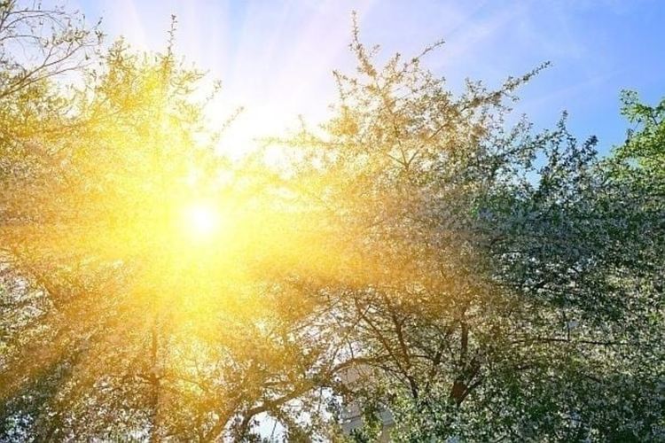 Предимно слънчево време прогнозират синоптиците за днес
