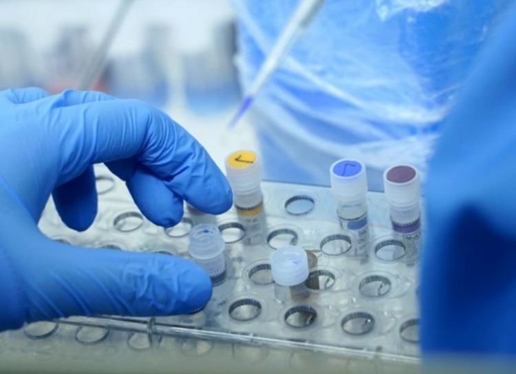 Нулев интерес към платените PCR-тестове в Смолян