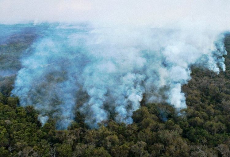 Почвата в тропическите гори диша и отделя много повече CO2 заради глобалното затопляне