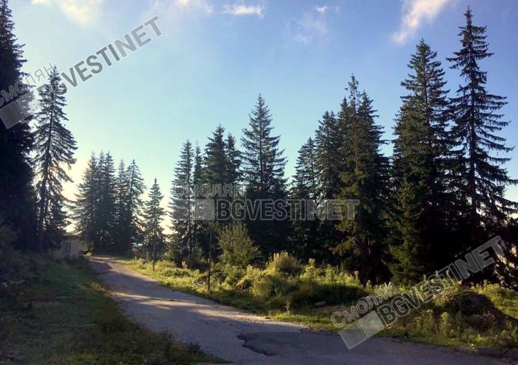 Слънчев понеделник с до 25 градуса, от утре ще превалява