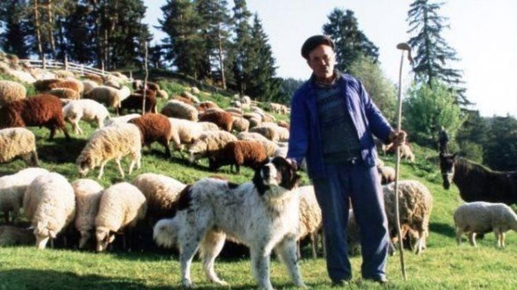 Изплатиха извънредна помощ на земеделските стопани.Ще им стигне ли да оцелеят в суша и пандемия