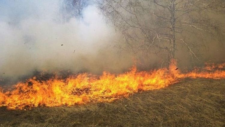 Пожар пламна в сухи треви, причинта - късо съединение от електропастир