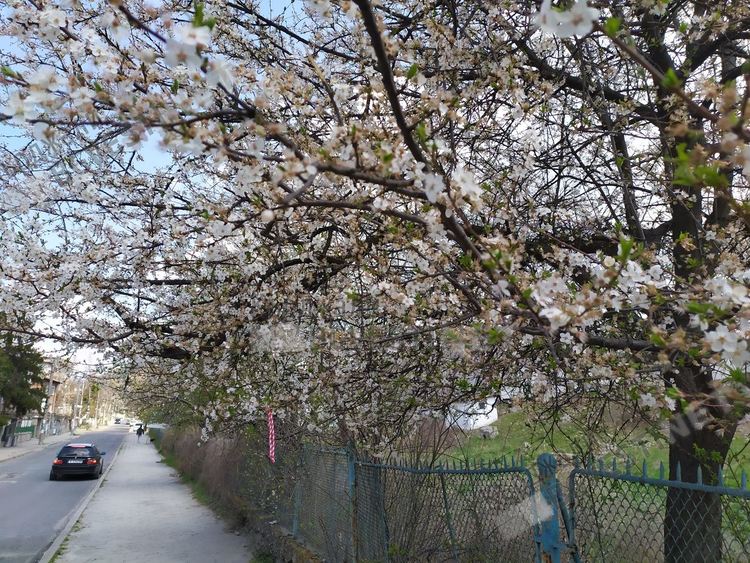 Предимно слънчево днес в Кърджали,ветровито