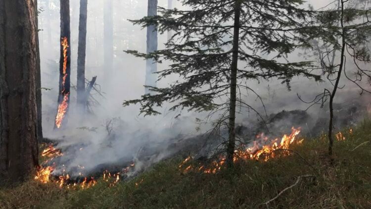 Продължава гасенето на пожара над Югово, през нощта все пак е поваляло