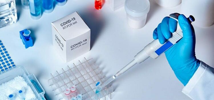 554 са новите случаи на COVID-17 в област Пловдив 