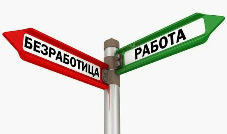 550 са регистрираните безработни 