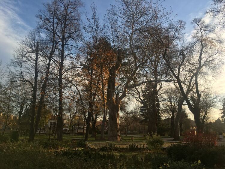 Слънчево с пролетни температури