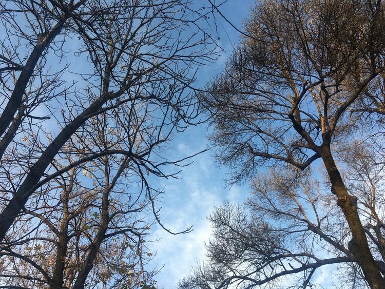 Слънчево в петък, превалявания на места
