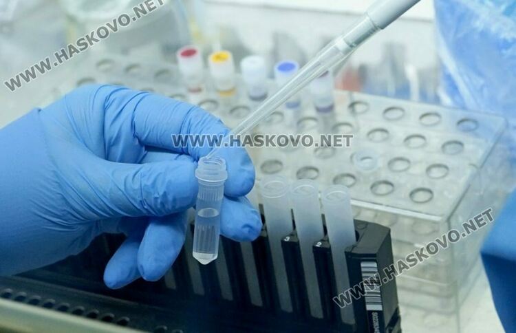 53-ма са новите с коронавирус в Хасковско, 71 са в болница