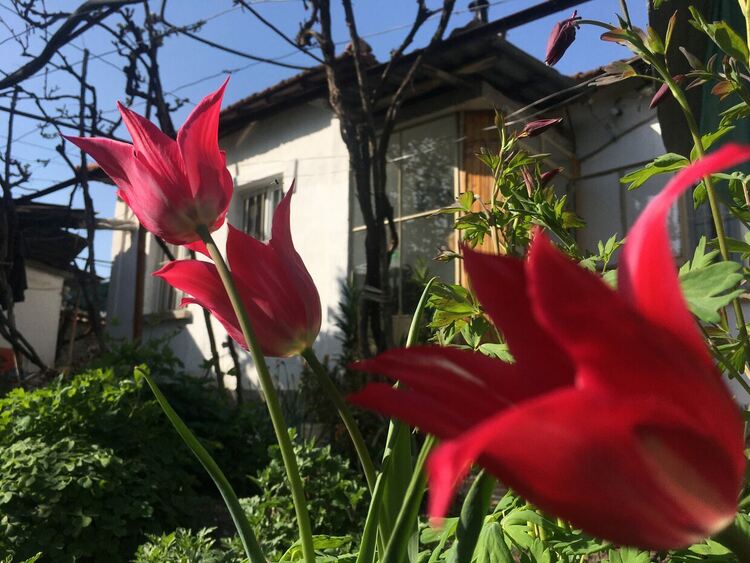 Слънчево начало на седмицата