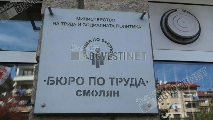 Общо 65 свободни позиции са обявени в Бюрото по труда в Смолян