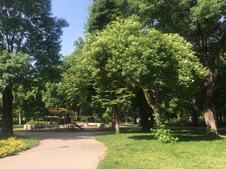 Жега в събота, на запад превалявания с гръмотевици
