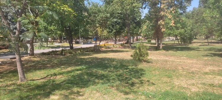 Реновират Градския парк на Асеновград 