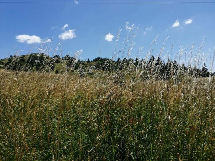 Слънчево, но по-хладно в понеделник