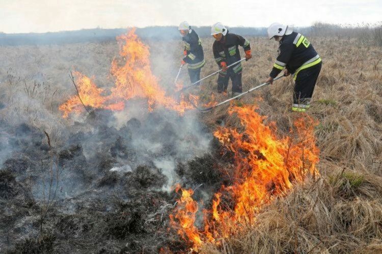 Запалени растителни отпадъци гасиха огнеборците в Девин, в Смолян събираха живак от счупен термометър