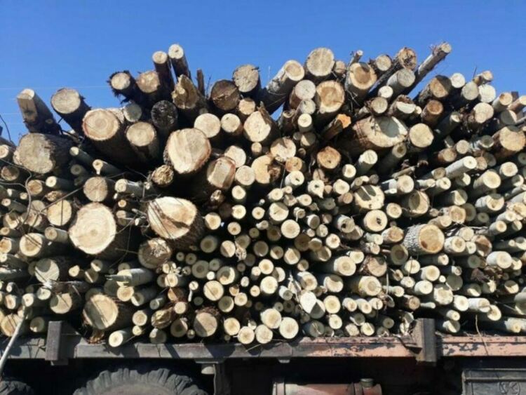 Полицията разследва незаконен превоз на дърва за огрев