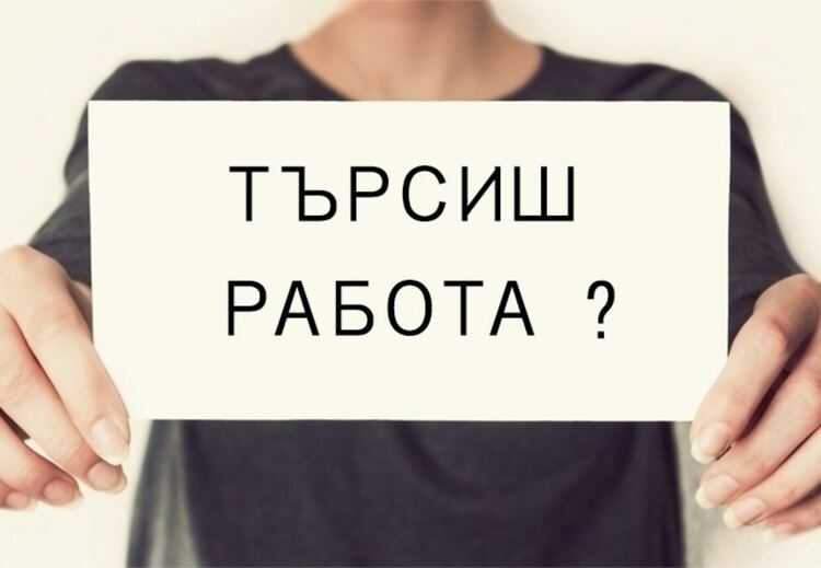 Търсят се шивачки и работници в кланица