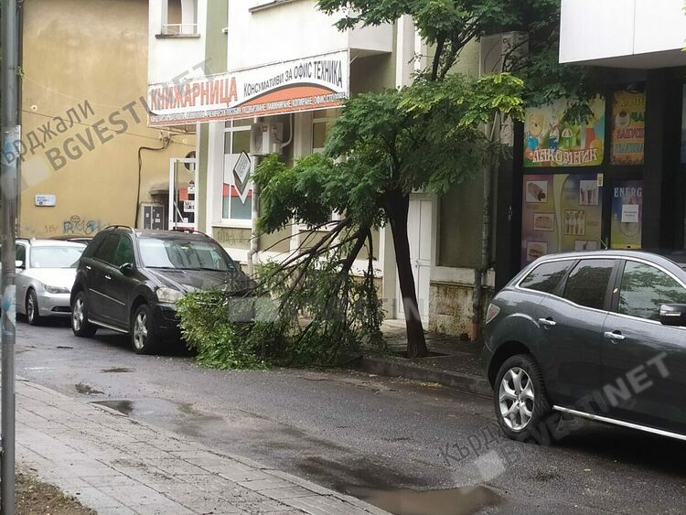 Оранжев код за опасни валежи  и силен вятър в областта