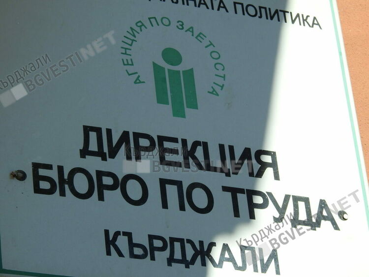 Най-много безработни в областта "произвежда" сектора на услугите,най-малко аграрния сектор