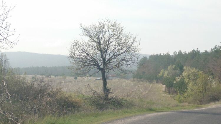 Облачно и по-хладно, превалявания на места