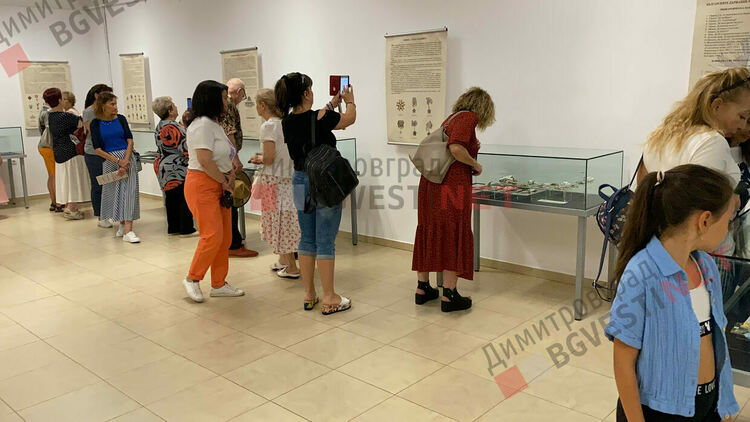 142 автентични ордена, знаци, почетни звания и медали представени от смолянския исторически музей в Димитровград
