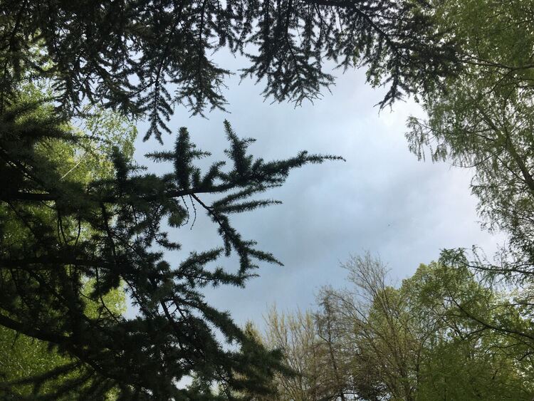 Облачно и хладно, гръмотевични бури на места