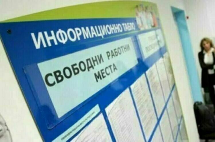 Шофьори, работници в производството и сервитьори-най-търсени на пазара на труда в Хасково