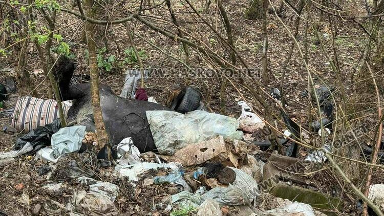 Разчистват сметище от гуми, покъщнина и труп на животно край път в Хасково