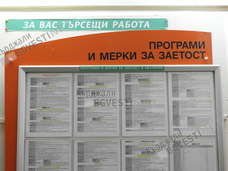 86 души са били наети за месец по програми в Кърджалийско,работодатели заявяват 280 позиции