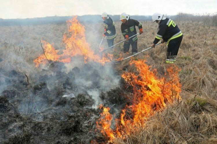 3000 дка сухи треви и храсти изгоряха в Хасковско след стрелбите на „Корен“