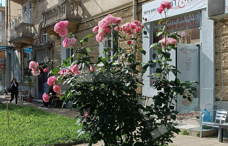 Слънчево без валежи днес в Кърджали