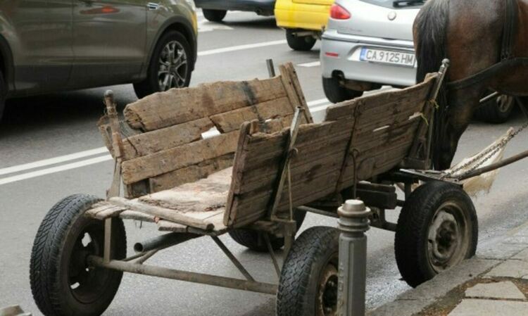 Каруца блъсна пешеходка на ул."Цар Иван Асен II"