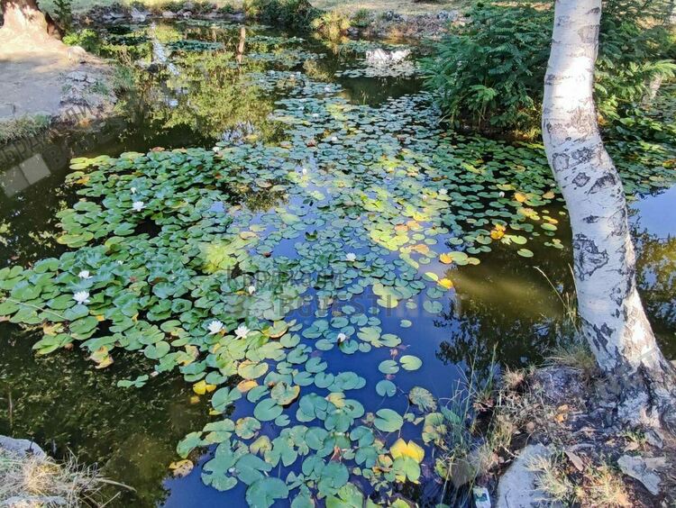   Слънчево и ветровито днес в Кърджали