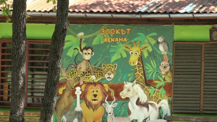 Започна онлайн гласуването във фотоконкурса „Моето любимо животно в зоокът Кенана“