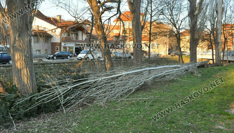 Бурен вятър в Хасково