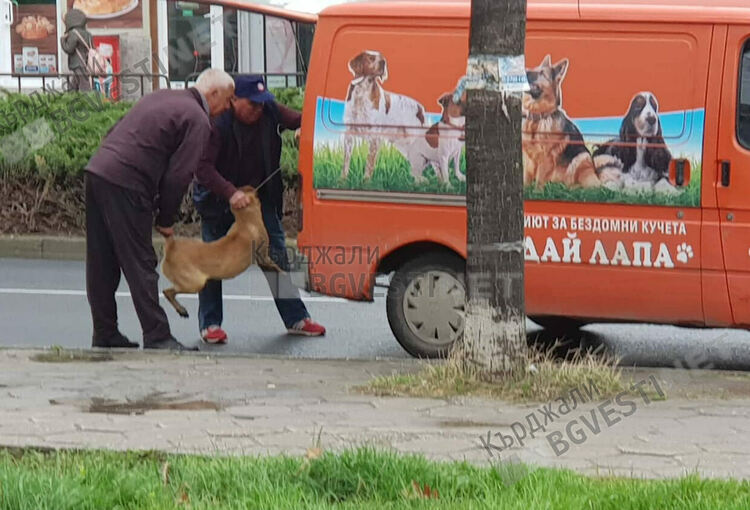 Според екипа на Хасан Азис през тази година в Кърджали нямало да остане нито едно бездомно куче