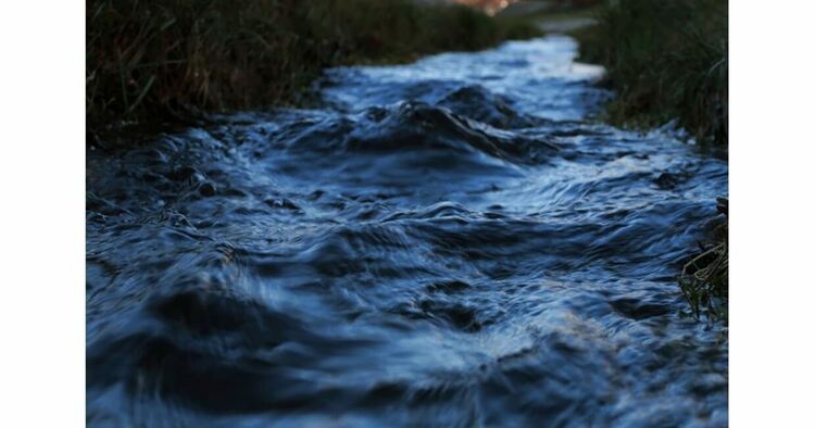 Започнато е досъдебно производство за замърсяване на водите на реката в близост до пернишкото село Боснек