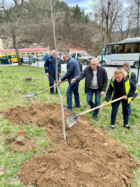 Мадан става по-зелен с нови дръвчета