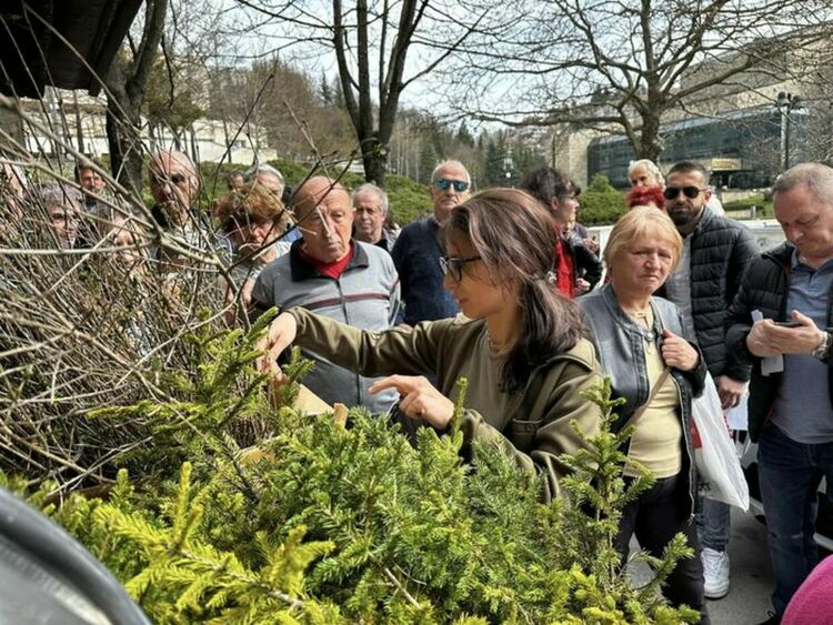 ЮЦДП Смолян ще раздава безплатни фиданки по повод Седмицата на гората