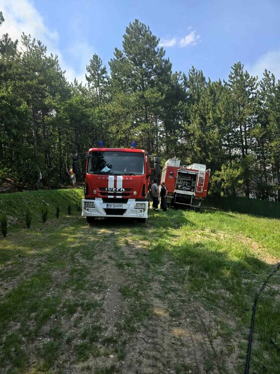 Пожарът край Асеновград е овладян и потушен