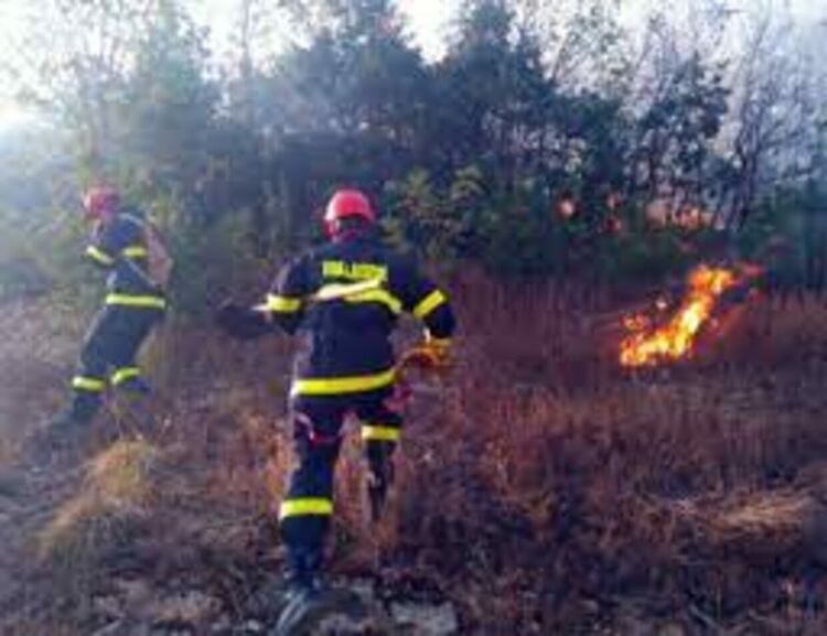 Пожар  край село Глогино предизвика тревога в Баните