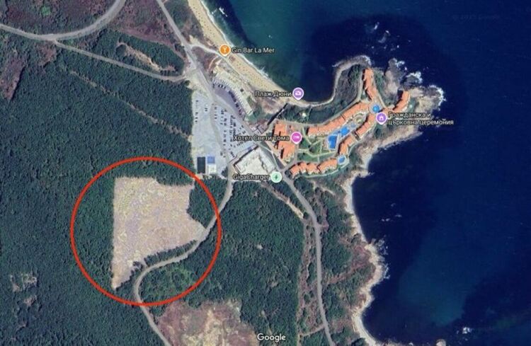 До подпорния хотел: Фирма изсече гора за 200 000 лв., РИОСВ я глоби 3500 лв. и й разреши да строи хотел, защото вече няма гора
